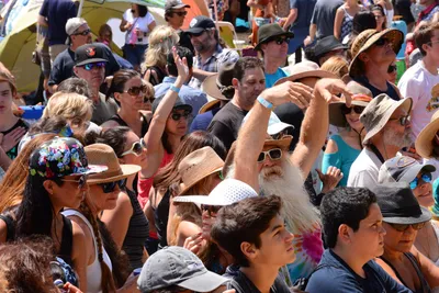 DSC_2010 (Large).JPG